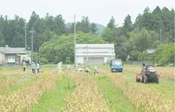 農作物をつくる利用者さんイメージ